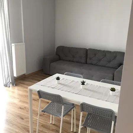 Scandinavian Lägenhet Lviv